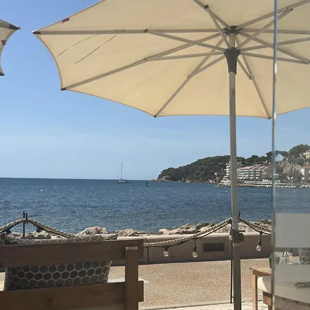 Cocoon élégant - Terrasse, Plages à Pied Et Pkg Privé *